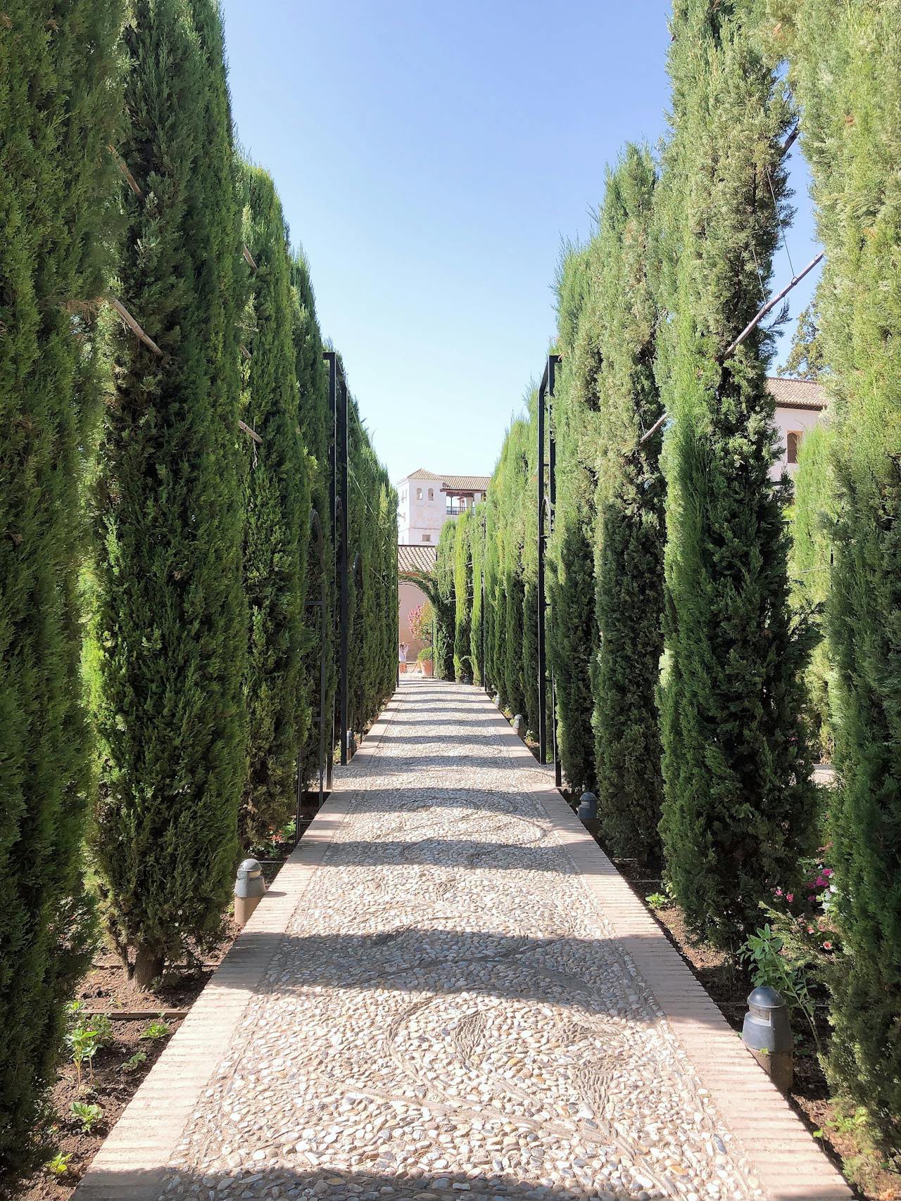Camino de cipreses del Generalife, Granada